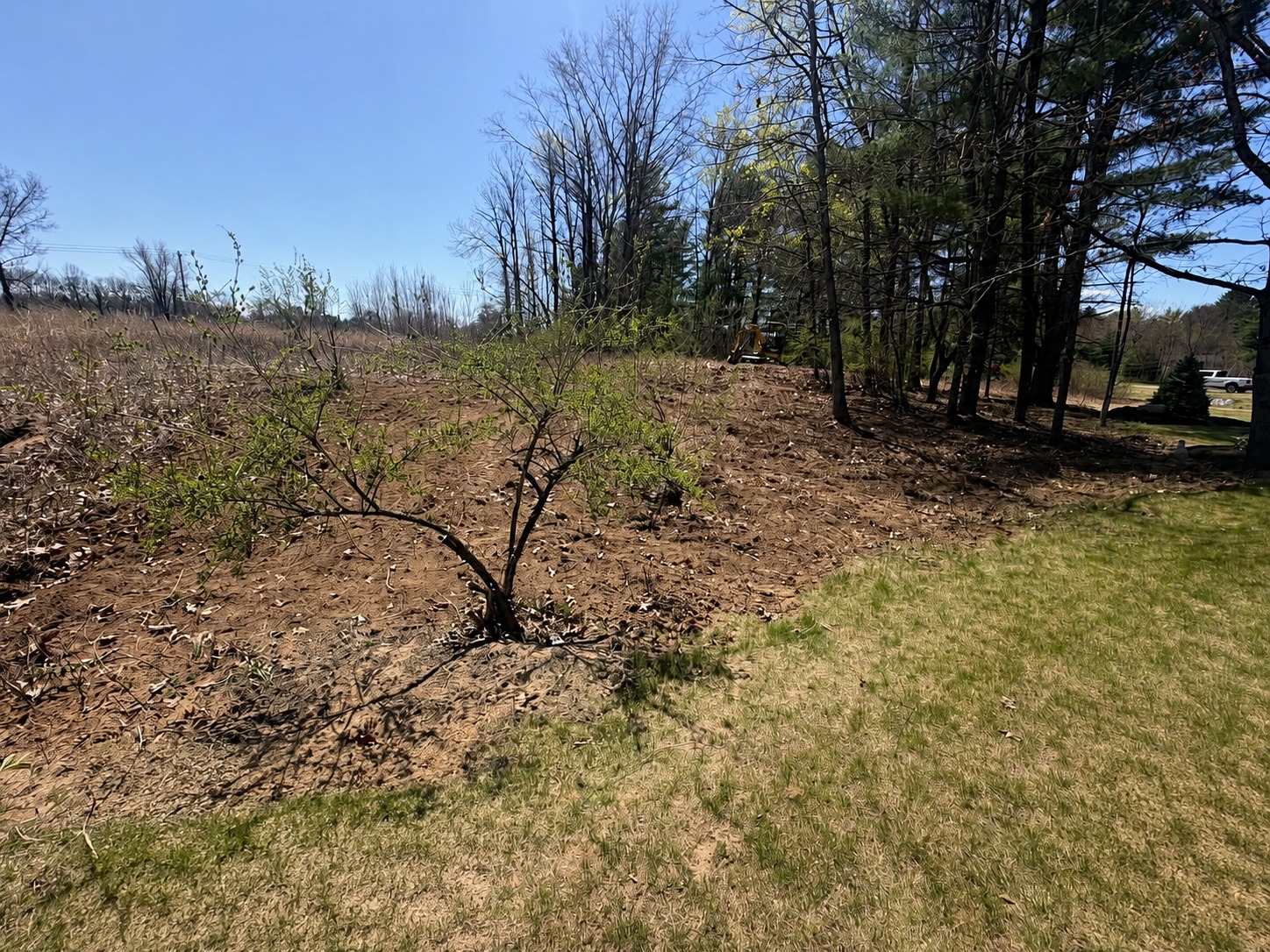 Land Clearing by D&D Groundworks